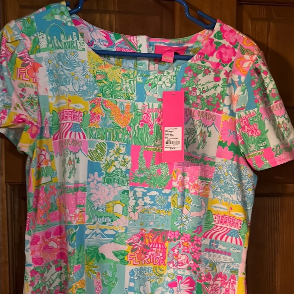 Lilly Pulitzer Chantel Dress State of Mind size L NWT - Picture 2 of 3